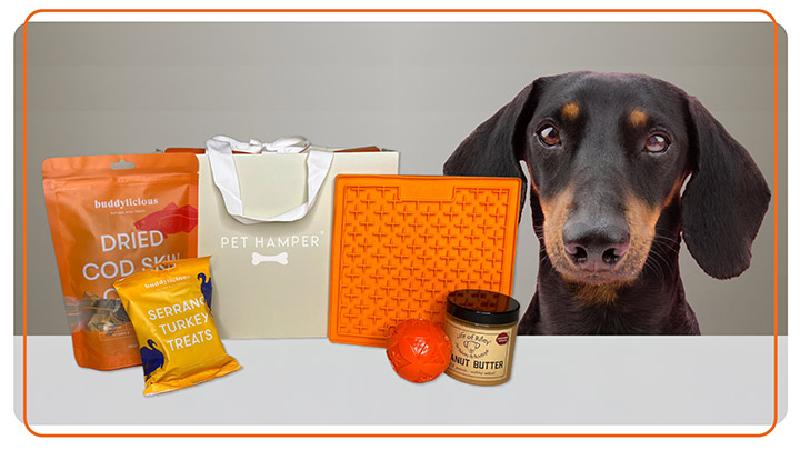 Free pet hamper worth up to £35