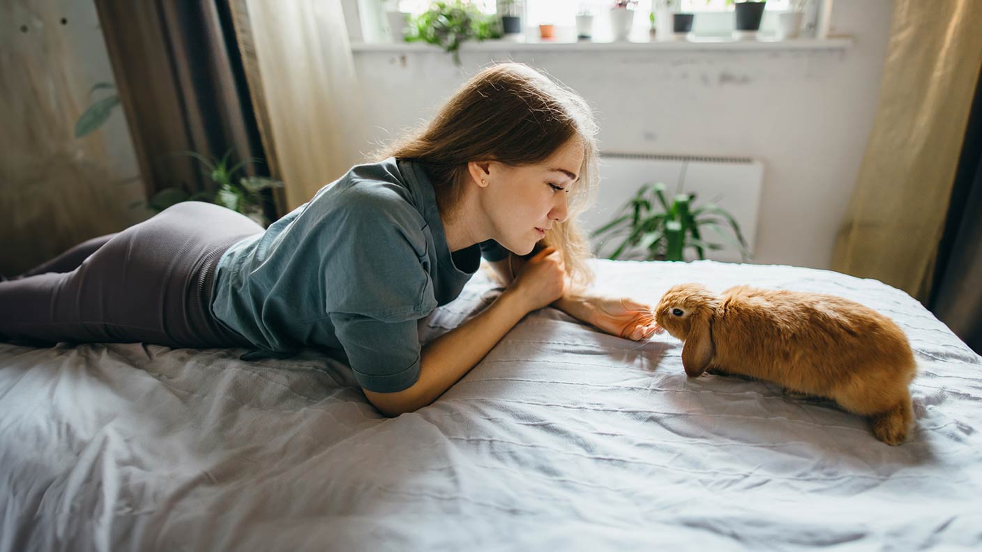 Keeping rabbits indoors  Keeping rabbits indoors
