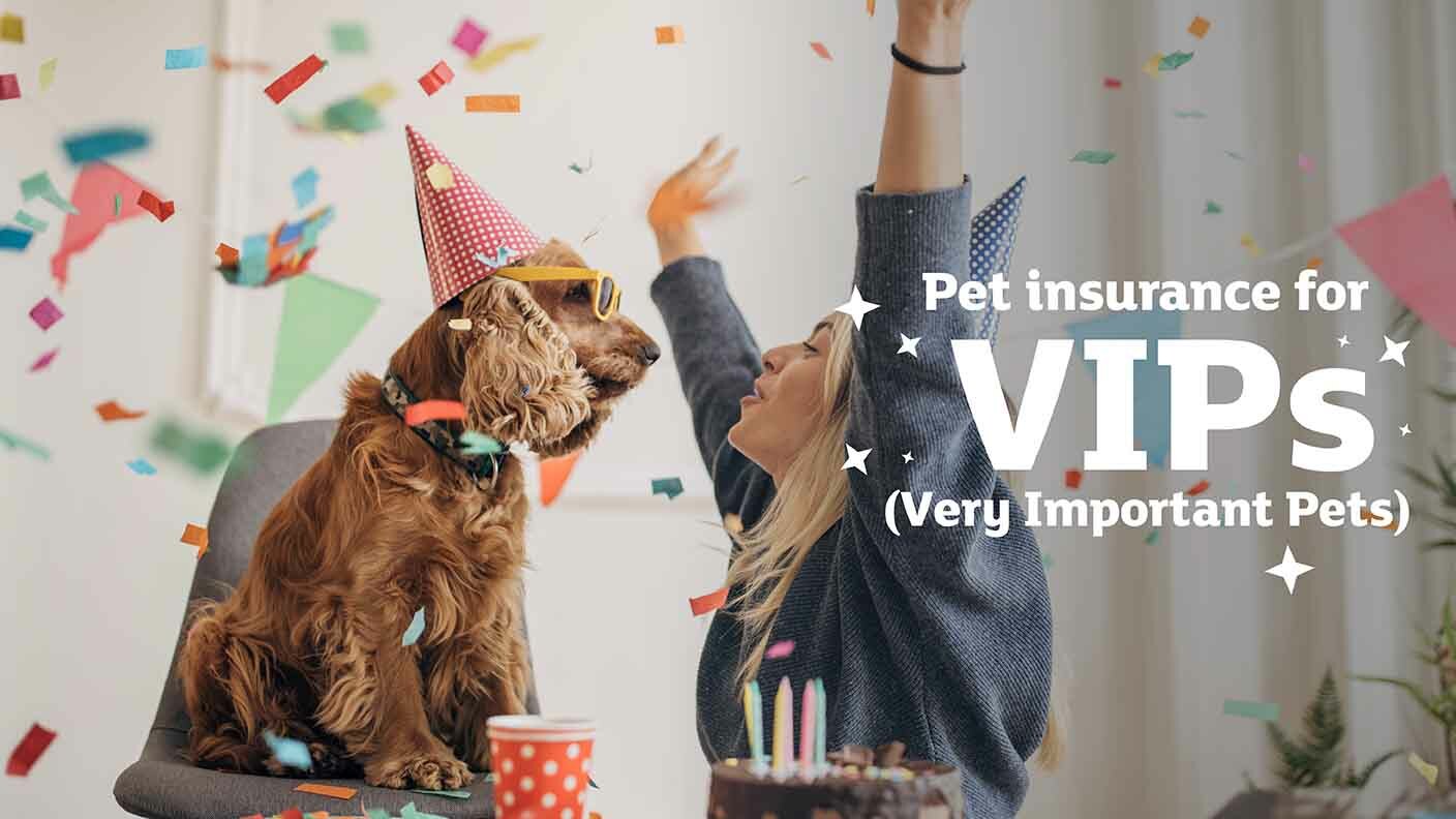 Pet insurance for VIPs (Very Important Pets)