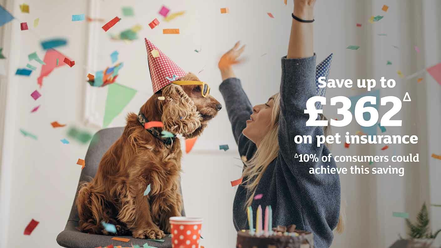 Save up to £362 on pet insurance