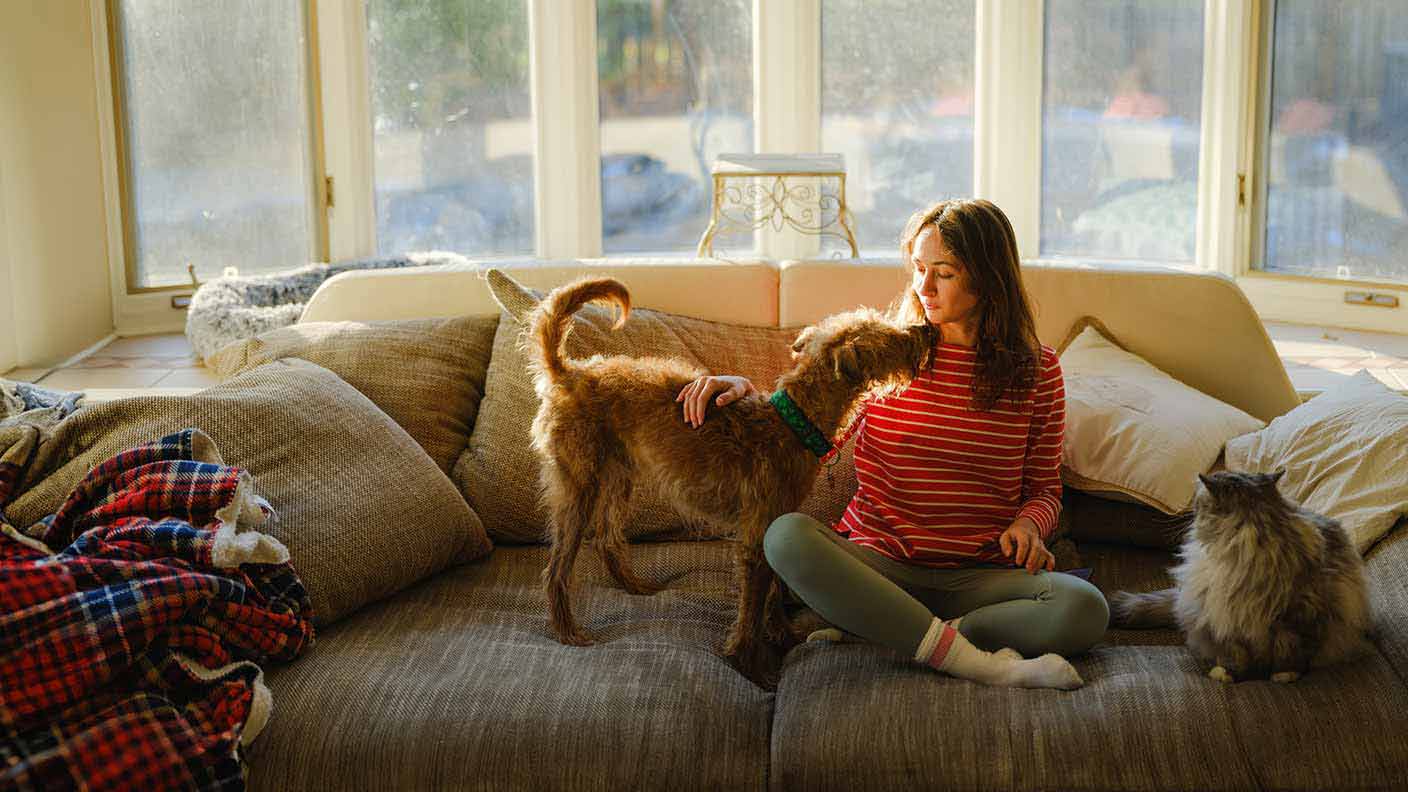 Create a pet-friendly home Create a pet-friendly home