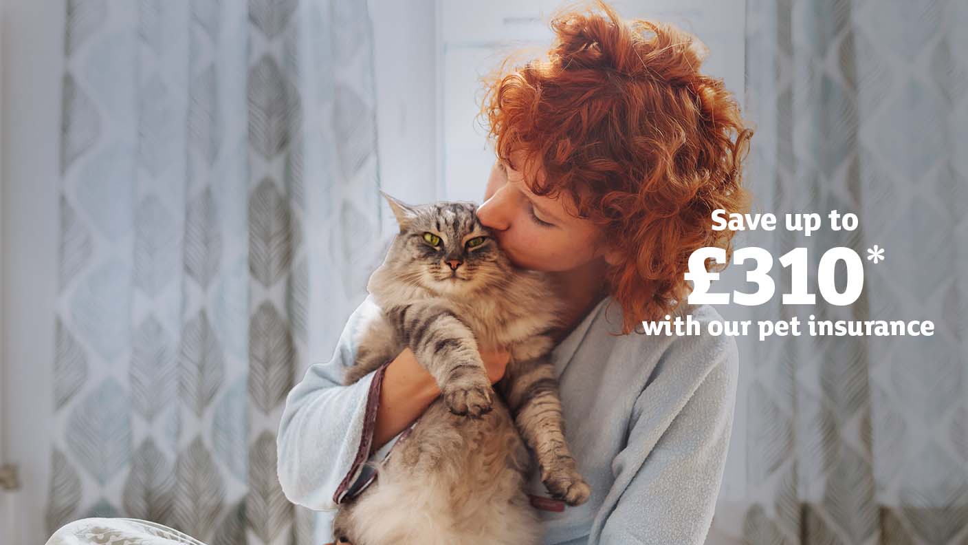 Save up to £310 with our pet insurance