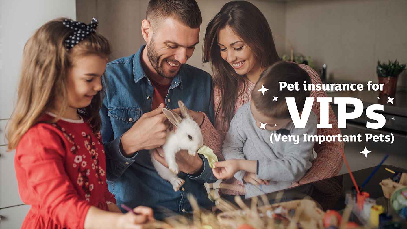 Pet insurance for VIPs (Very Important Pets)